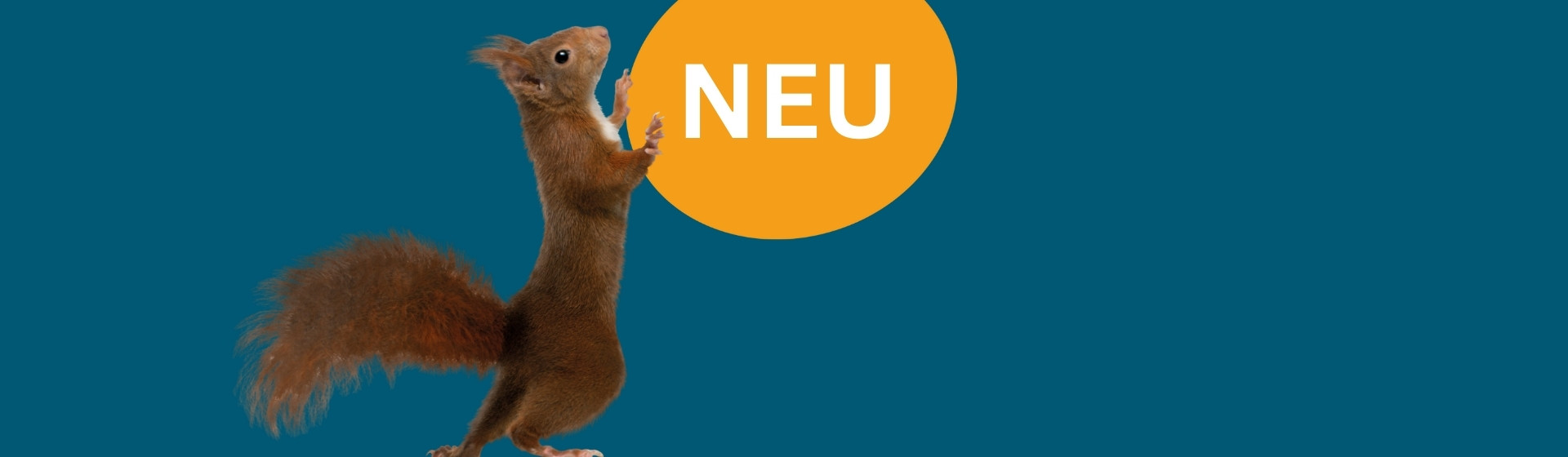 Eichhörchen steht mittig und schiebt einen orangenen Kreis, in dem NEU steht. Der HIntergrund ist dunkelblau.