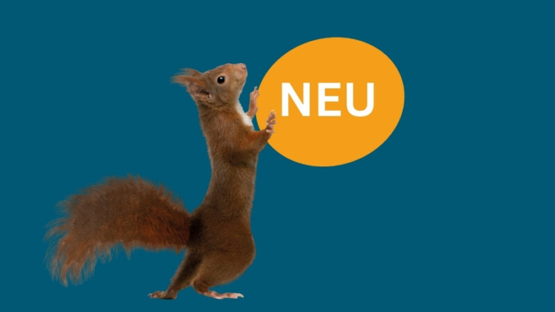 Eichhörchen steht mittig und schiebt einen orangenen Kreis, in dem NEU steht. Der HIntergrund ist dunkelblau.